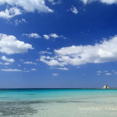 D&m House Salento *